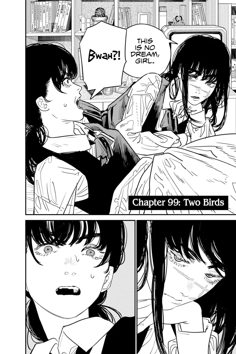 Chainsaw Man Manga Chapter 99 page 2 - Two Birds